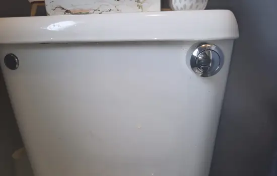 Toilet Upgrade In Nottingham - Dudley Push Button Flush Installation